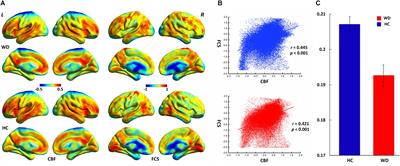 Aberrant Coupling Between Resting-State Cerebral Blood Flow and Functional Connectivity in Wilson’s Disease